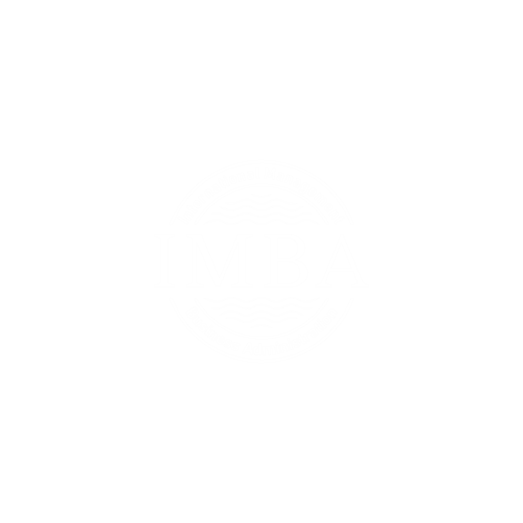 imba-consultores-gd89